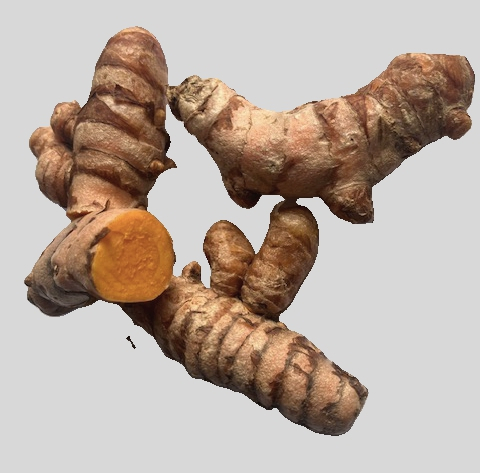 Kurkuma-Wurzel-1.jpg