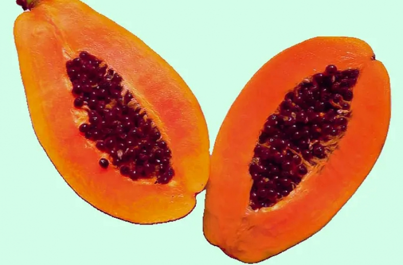 papaya-3_2.jpg
